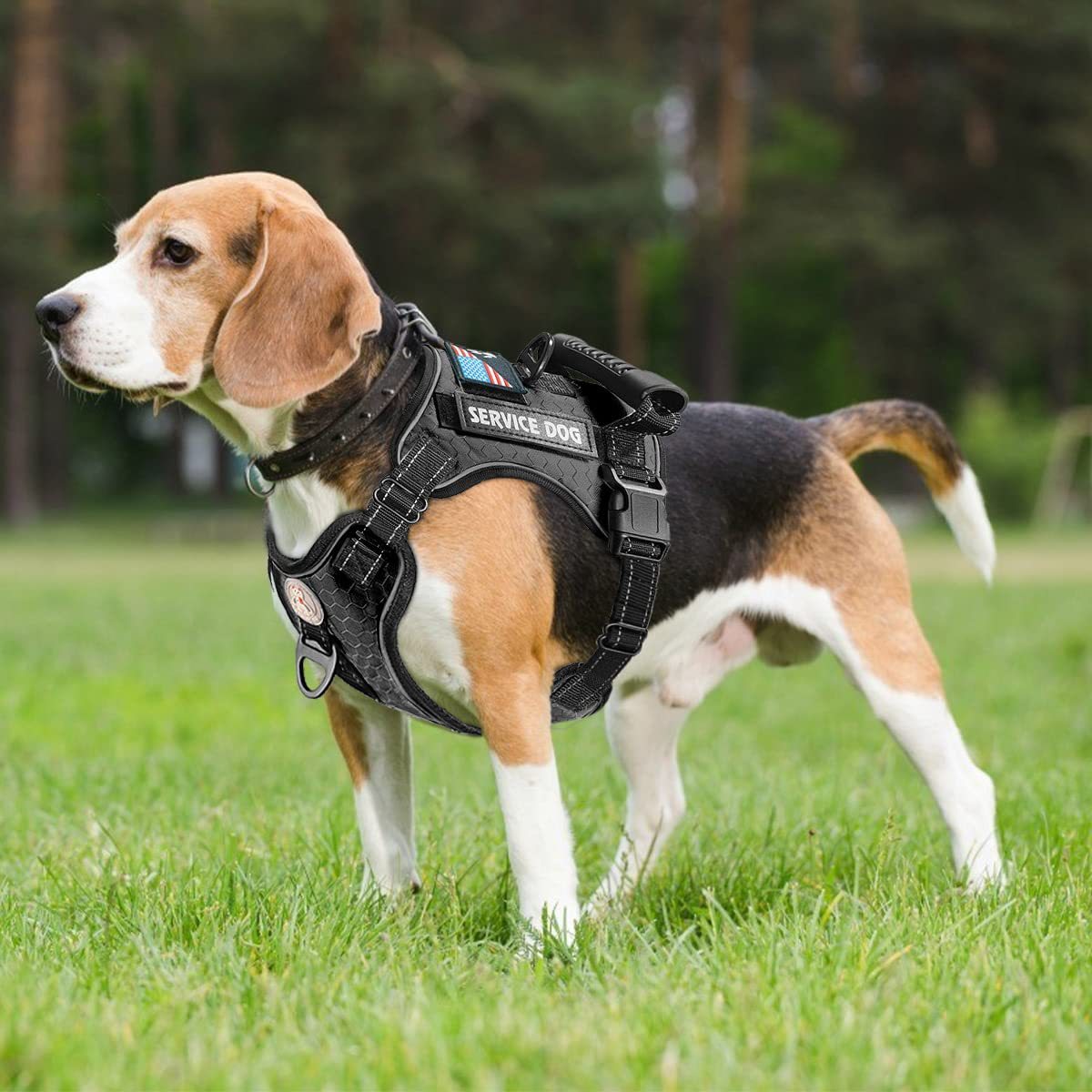 Nytt eksplosjonssikkert, støtdempende og komfortabelt brystseler til kjæledyr – trekksele til hund av vesttype