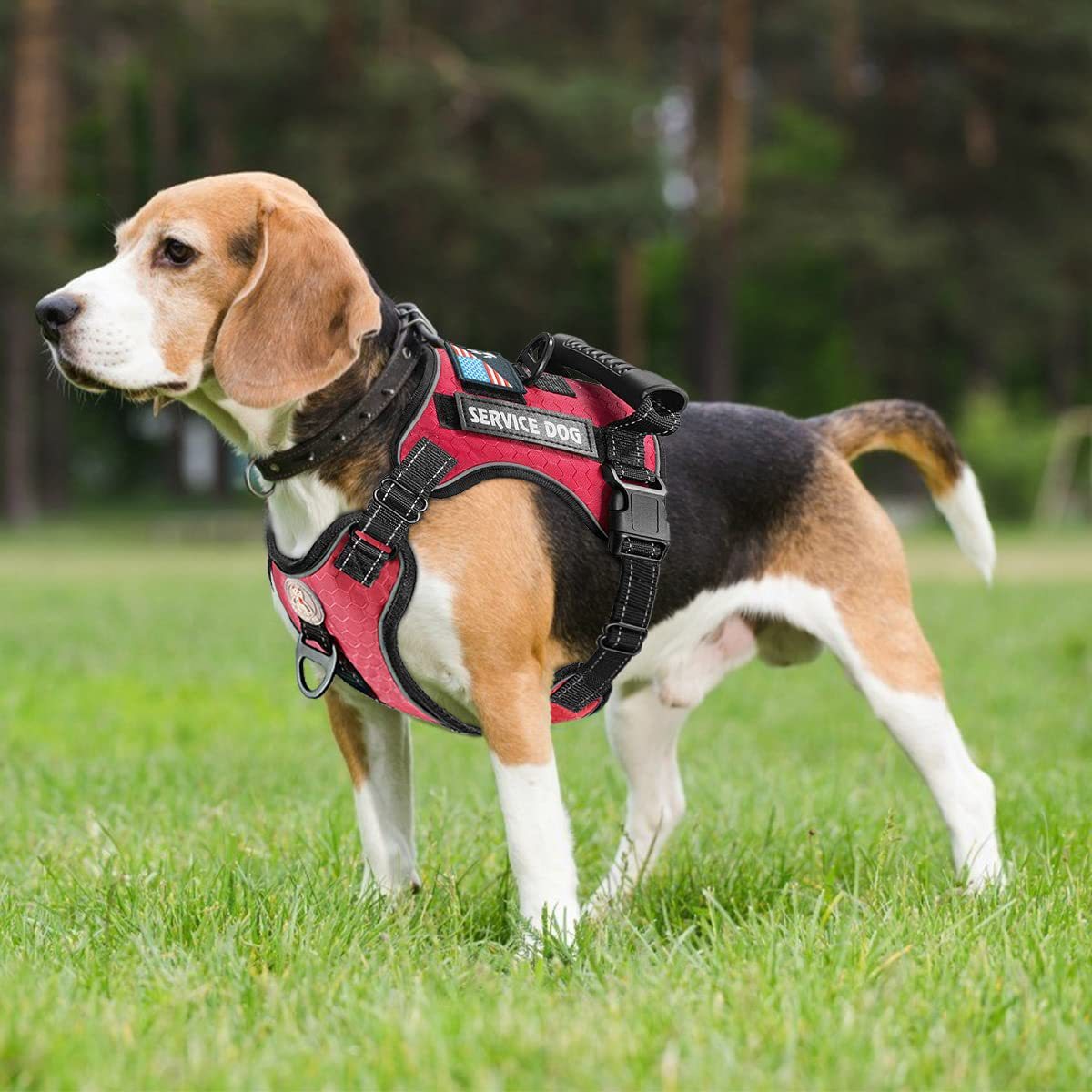 Nytt eksplosjonssikkert, støtdempende og komfortabelt brystseler til kjæledyr – trekksele til hund av vesttype